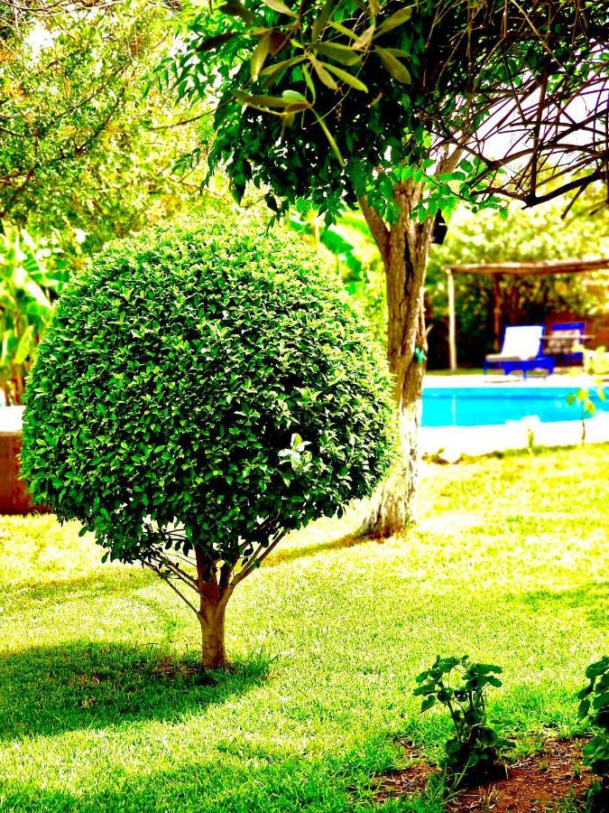 Le Domaine De Carole Marrakech Bed and Breakfast Douar Akkara Εξωτερικό φωτογραφία