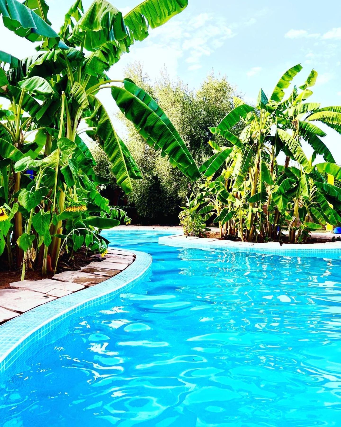 Le Domaine De Carole Marrakech Bed and Breakfast Douar Akkara Εξωτερικό φωτογραφία