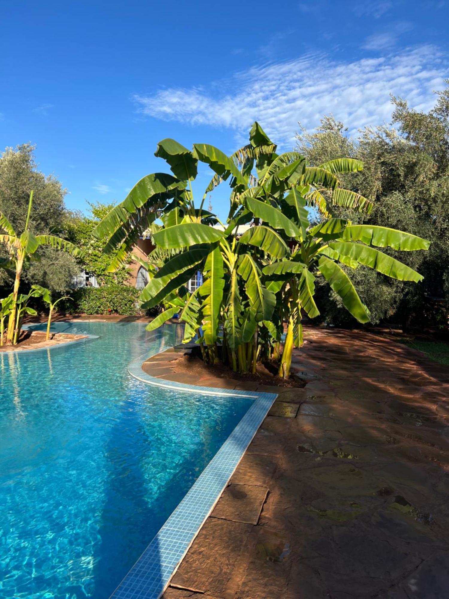 Le Domaine De Carole Marrakech Bed and Breakfast Douar Akkara Εξωτερικό φωτογραφία