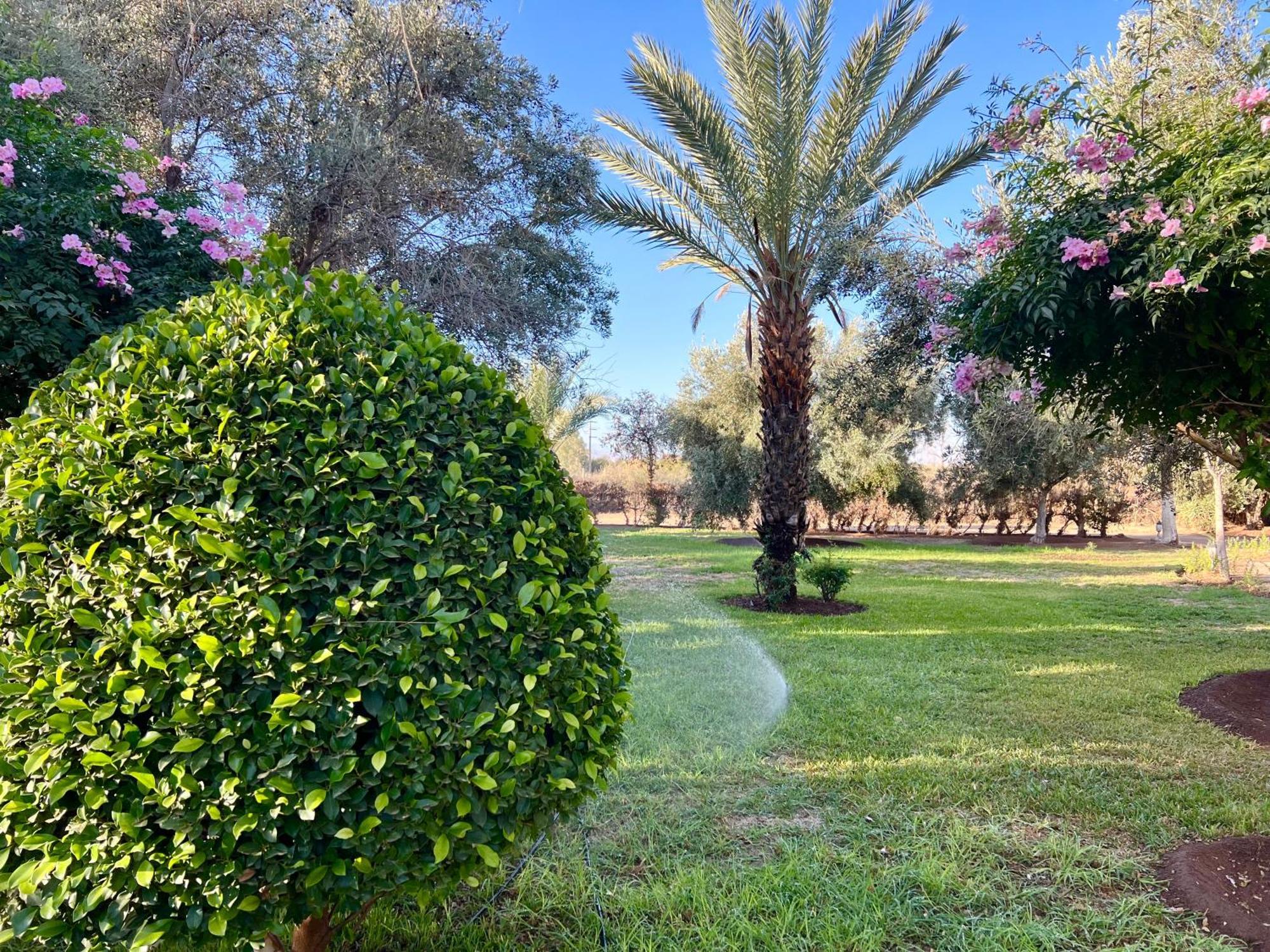 Le Domaine De Carole Marrakech Bed and Breakfast Douar Akkara Εξωτερικό φωτογραφία