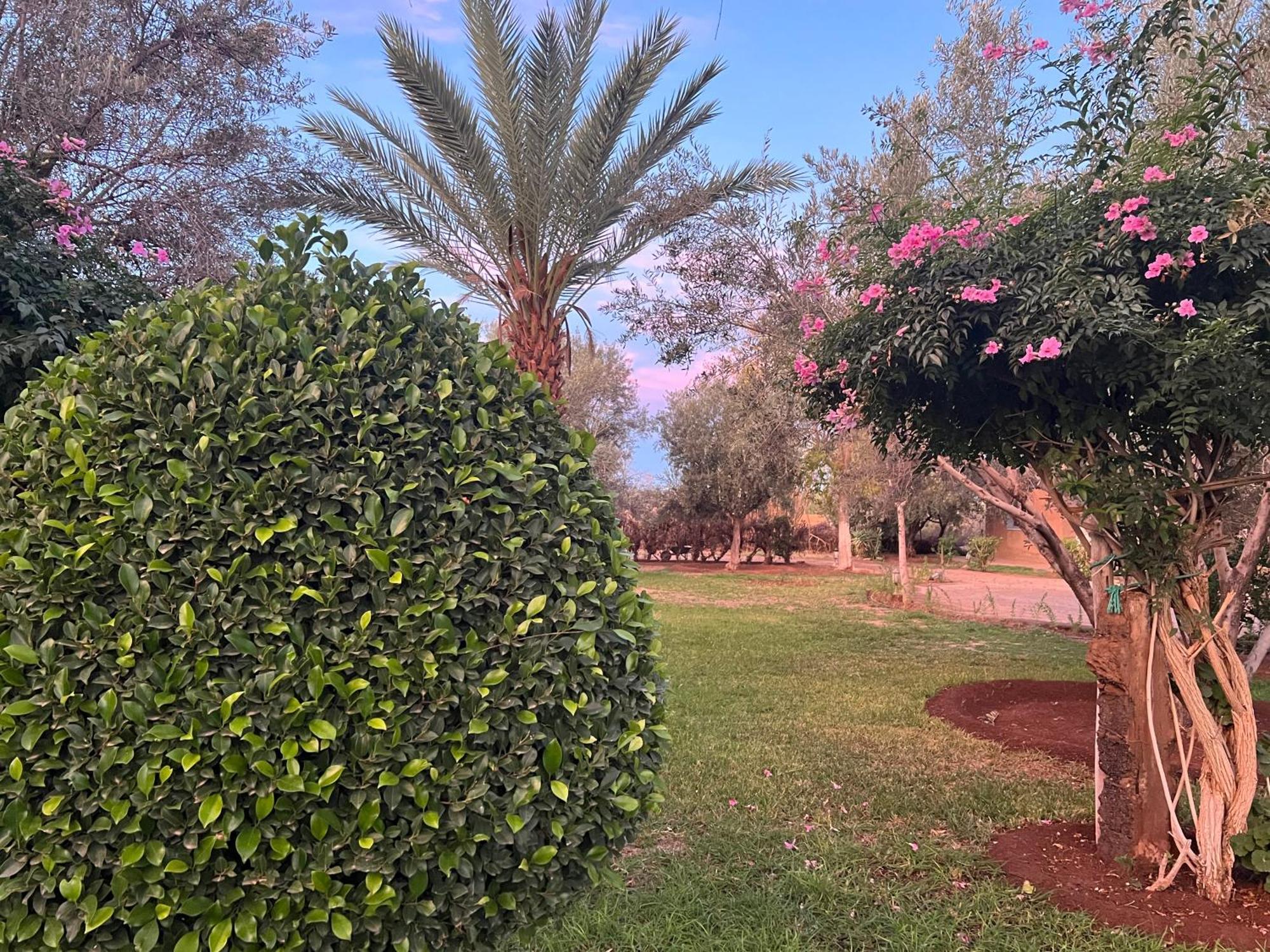 Le Domaine De Carole Marrakech Bed and Breakfast Douar Akkara Εξωτερικό φωτογραφία