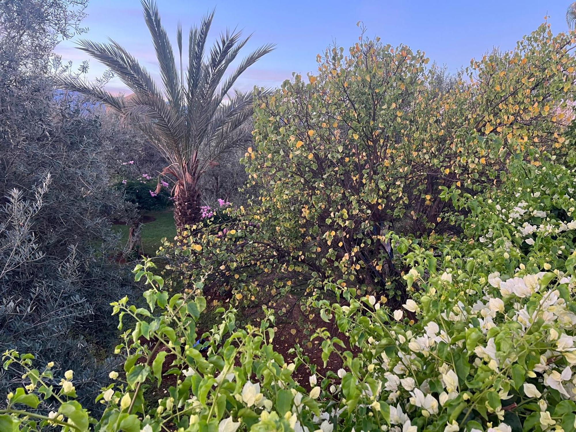 Le Domaine De Carole Marrakech Bed and Breakfast Douar Akkara Εξωτερικό φωτογραφία